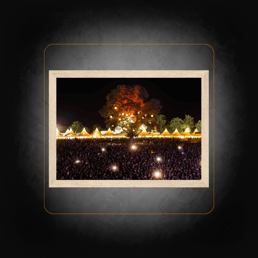 Framed photo light show - Papillons de Nuit